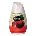 N-a Renuzit Apple Cinnamon Ounce Pack Of 019800036744