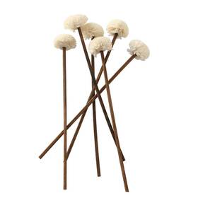 Nongcunren 751498043276 30 Pcs 8 Inch Brown Rattan Reed Fragrance Diffuser With Flower Replacement Refil