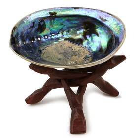 Ocean Shell Studios. 841537001739 5-6 Inches Premium Natural Abalone P Ua With Wood