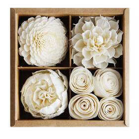 B07kdxm2x8 Plawanature Mixed White Sola Flower Diffuser Set Refill With Cotton Wick - Home Fragrance