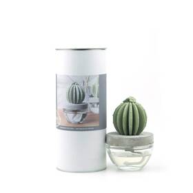Fd-pv-pvsz6047-oce-brz Pretty Valley Home Gypsum Cactus Fragrance Diffuserocean Breeze 100ml