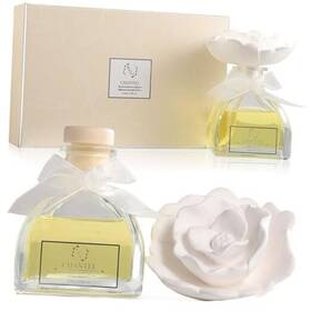 Df-1431 Prettyvalleyusa.com Reed Diffuser Set Gypsum Flower Oil Rose Petals 120ml / Chantel