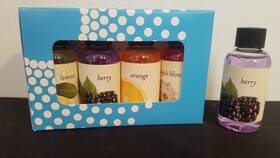 43243 Rainbow Fragrance 4 Pack Apple Berry Orange Lemon Bonus Extra