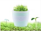 Rhnha0171 Artence Negative Ion Plantable Ultrasonic Air
