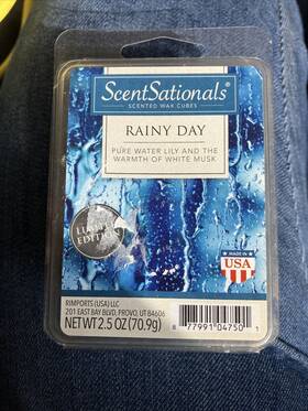 Rimports Llc 877991047501 Scentsationals Scented Wax Cubes Rainy Day Limited Edition