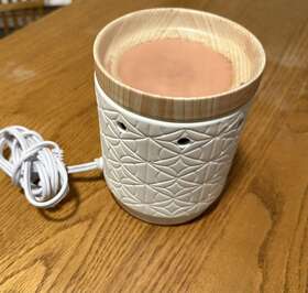 Salking 692624458390 Electric Wax Warmer Candle Burner Fragrance Melt Melter Burnt Out Bulb