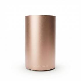 Scentfluence Gold1000 Waterless Scent Diffuser For Home Rechargeable Cold-air Room Chro