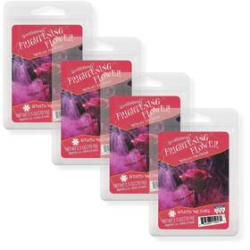 032-021-45084 Scentsationals Wax Melts Cubes Strong Scent - Enchanted Night Collection