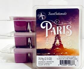 12937 Scentsationals 4 Packs Paris Adventures 6 Count Scented Wax Cubes 2.5 Oz