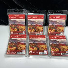 Valley-2.5oz Scentsationals 843283120726 Lot Of 6 Autumn Scented Wax Cubes