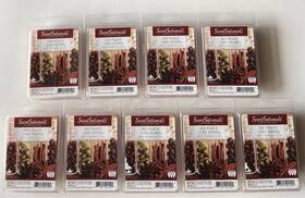 Scentsationals 877991021501 9 Packs No Place Like Home Scented Wax Cubes 2.5 Oz