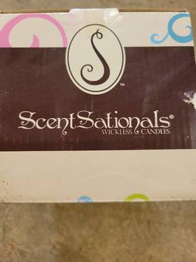 Sc-293 Scentsationals Scent Sationals Mini Warmer Bronze Tree Indoor Fragrance 5 In Tall Nib
