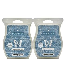 100504 Scentsy Wax Bars Saguaro Desert Rain Discontinued 2 Pack Ships With Icepack