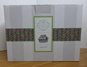 1106-36886 Scentsy Ceramic Noah S Ark Warmer 2016 Retired Excellent Condition