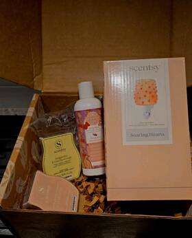 111063 Scentsy Soaring Hearts Mini Warmer And Disney Wax Bars Gift Set