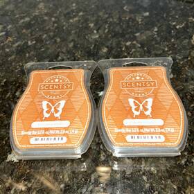 15611 Scentsy Wax Bars Cinnamon Vanilla 3.2 Fl Oz. Lot Of 2