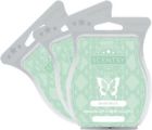 Scentsy 2 Custom Sachets Bonfire 748579460800