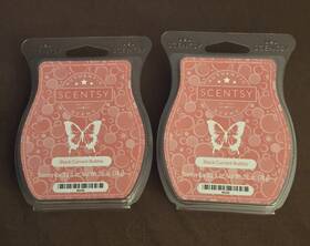 40239 Scentsy 2 Black Currant Bubbly Wax Bar 3.2 Oz Scent Of The Month