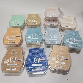 55706 Scentsy Lot Of 12 - Wax Melts Blond Wood And Moonflower Summer Rain Inner Peace