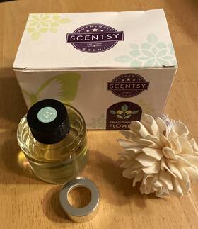 56741 Scentsy New Fragrance Flower Aloe Water And Cucumber Nib