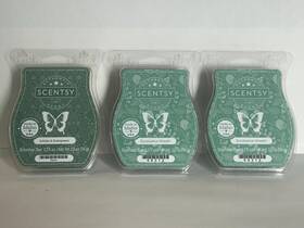 72214 Scentsy 2- Eucalyptus Wreath 1 -scentsy Icicles And Evergreen Wax Bar - 3 Pack