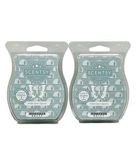 90177 Scentsy Wax Bars Wide Open Spaces Discontinued 2 Pack Ships With Icepack