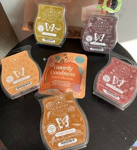 95395 Scentsy Gourdy Goodness Wax Bar Collection Fall Scents Set 5 New Pumpkin Roll