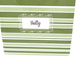 Hd1065-0824 Scentsy Warmer With Bulb Green Holly Pattern Red Accents 6 Scented Wax Cubes