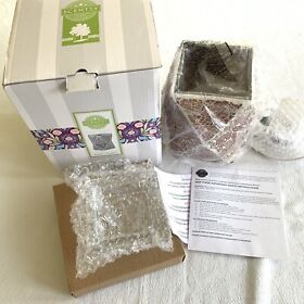 63400 Scentsy Wax Warmer Acute Copper Brand New Full Size In Box