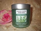 Eucalyptus-6 Sealed Yankee Spheres-fresh Oz.- Candle-fragrance