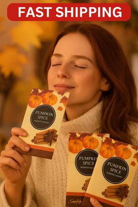 Simplicity 856092002077 Pumpkin Spice Scented Sachets Set Of 3 Scents Fall Home Fragrance