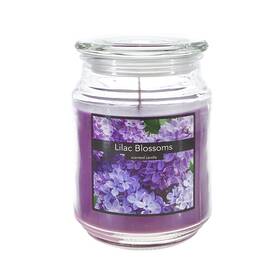 Ax-ay-abhi-104144 Srg Scented 18 Ounce Glass Jar Container Candle - Lilac Blossom 1