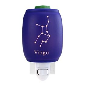 Wax Warmer Plug Home Fragrance Diffuser No Flame With One More Bulb