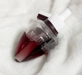 White Barn 667533226934 Bath And Body Works / Cranberry Woods Wallflowers Refill Bulb