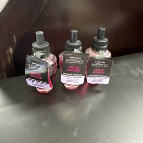 White Barn 667554955288 3 New Bath Body Works Cactus Blossom Wallflower Refill
