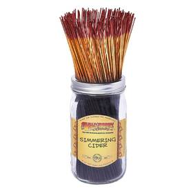Wild Berry 885557948988 Incense Sticks - Simmering Cider Warm Apple Scent With Spicy Cinnamon