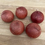 5 Red Apple & Ginger Wax Sphere Ball Candles Rustic Tuscany. Fixed Price $18.00.