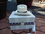 Scentsy Country Born Western Cowboy Hat Wax Warmer *****. Fixed Price $39.99.