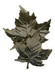 Bath & Body Works Fall Maple Leaves Wallflower Fragrance Night Plug In New. Fixed Price $19.99.
