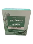 Bath And Body Works Eucalyptus Spearmint Wallflowers Fragrance Refill (2 Pack). Fixed Price $12.99.