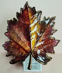 *new* Leaf Scent Control Wallflower Plug Bath & Body Works Ships Free!. Fixed Price $32.00.