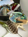 Alternative White Sage Palo Santo Natural Abalone Cleansing Gift Set. Fixed Price $31.98.