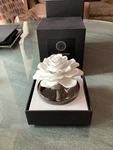 Illuminaria Porcelain And Room Diffuser. Fixed Price $60.00.
