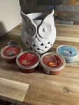 Yankee Candle White Ceramic Owl Wax Melt Warmer Electric Timer Night Light. Fixed Price $35.99.