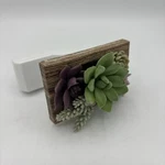 Bath And Body Works Succulent Frame Home Wallflowers Fragrance Diffuser. Fixed Price $15.00.