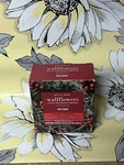 Bath & Body Works Holiday Wallflowers Fragrance Refill 2 Pack. Fixed Price $15.95.