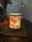 Scentsy Charmer Warmer. Fixed Price $19.99.