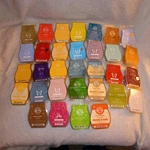 New Scentsy Wax Melts 3.2 Oz. Choose Your. Fixed Price $6.99.