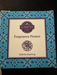 Scentsy Fragrance Flower Dahlia Darling Handcrafted 85138- New Box. Fixed Price $17.00.