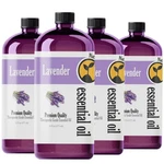Essential Oil Lavender Pure Therapeutic Grade Aromatherapy 16 Fl Oz Pack. Fixed Price $89.99.